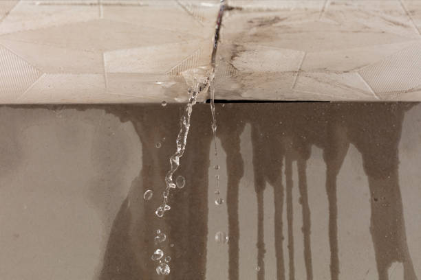 Professional Water Damage Inspection technician working in Denham Springs, LA